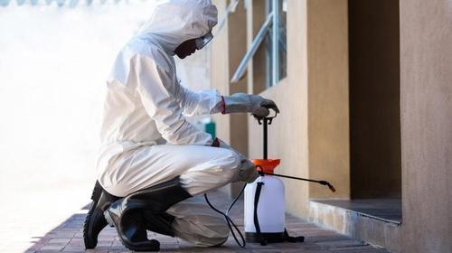 Pest control helps protect your residential and commercial properties from termites